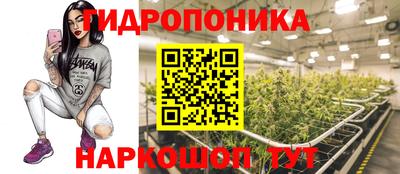 дмт Владивосток