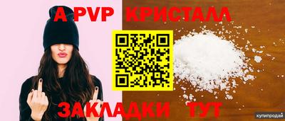 дмт Владивосток