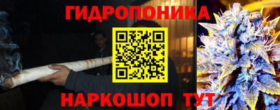 твердый Владимир