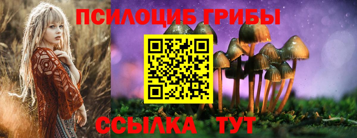 Галлюциногенные грибы ЛСД  Вход с VPN  Галлюциногенные грибы Psilocybe  цена   Качканар 